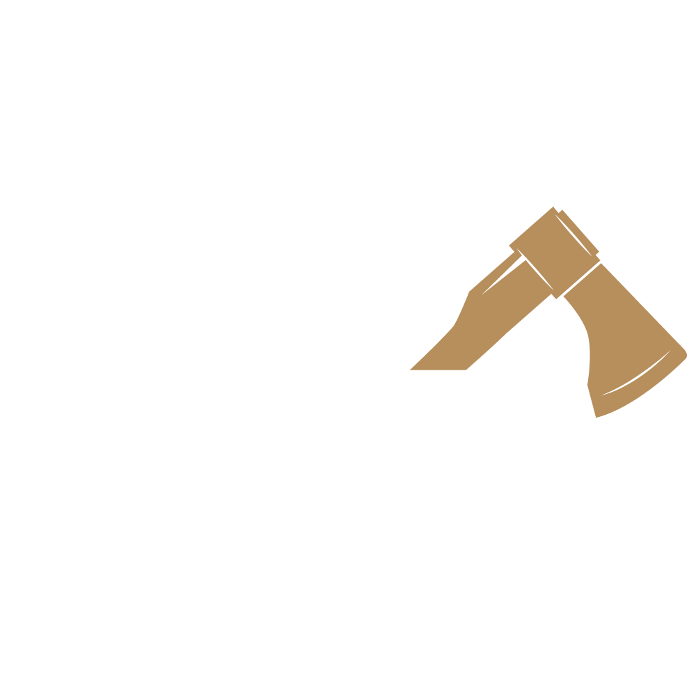 motorová pila na dřevo