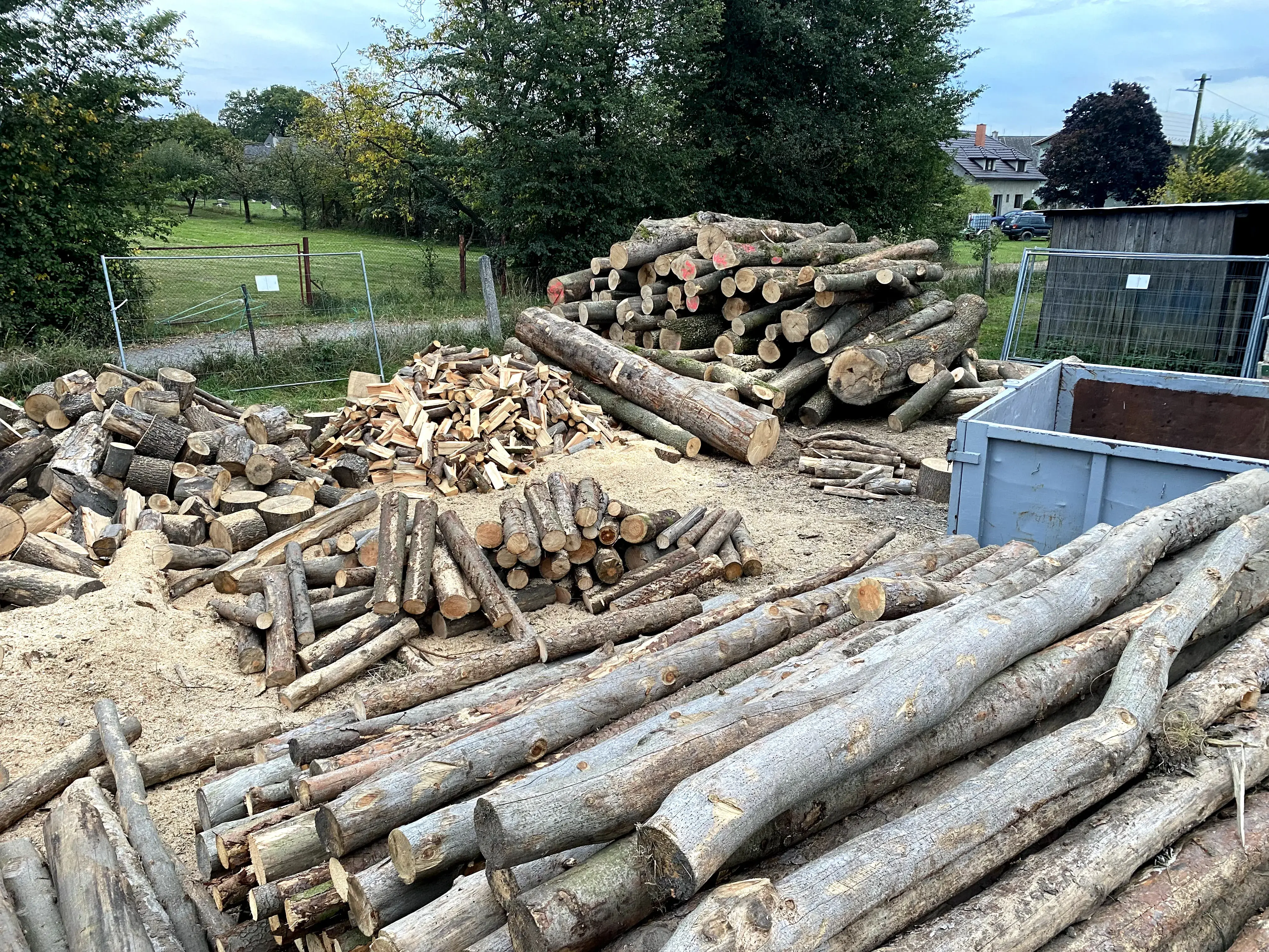 prodej dřeva na zimu